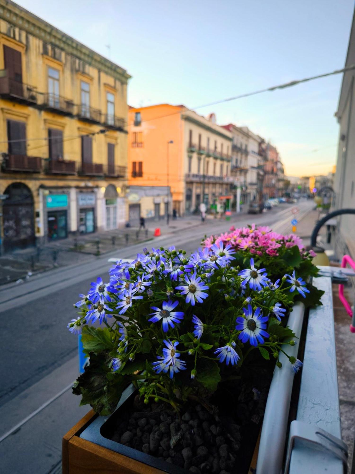 Casamira B&B Napoli Centrale 外观 照片
